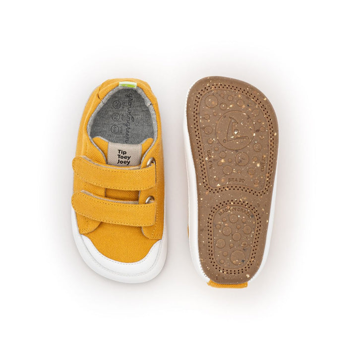TIP TOEY JOEY BEBE NIÑO ZAPATILLA BOSSY GREEN AMARELO CAJA ECO CANVAS