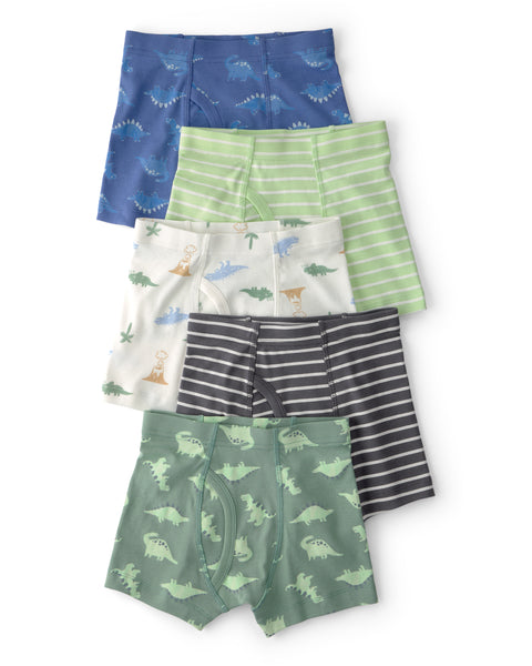 Carters Boxer Green Dino 5pcs para Niño