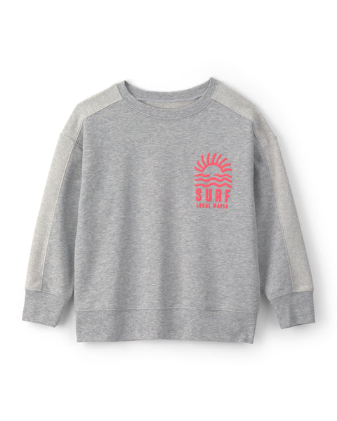 Carters Tshirt Graphic Crew Gray para Niño