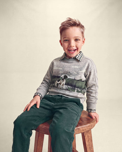 Carters Abrigo Graphic Crew Scenic Dog Grey para Niño