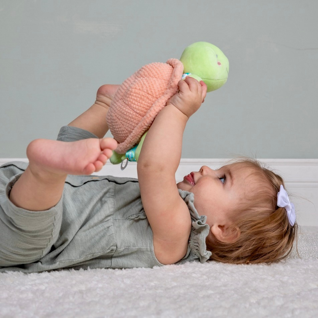 MARY MEYER JUGUETE TAGGIES TIPPY TURTLE