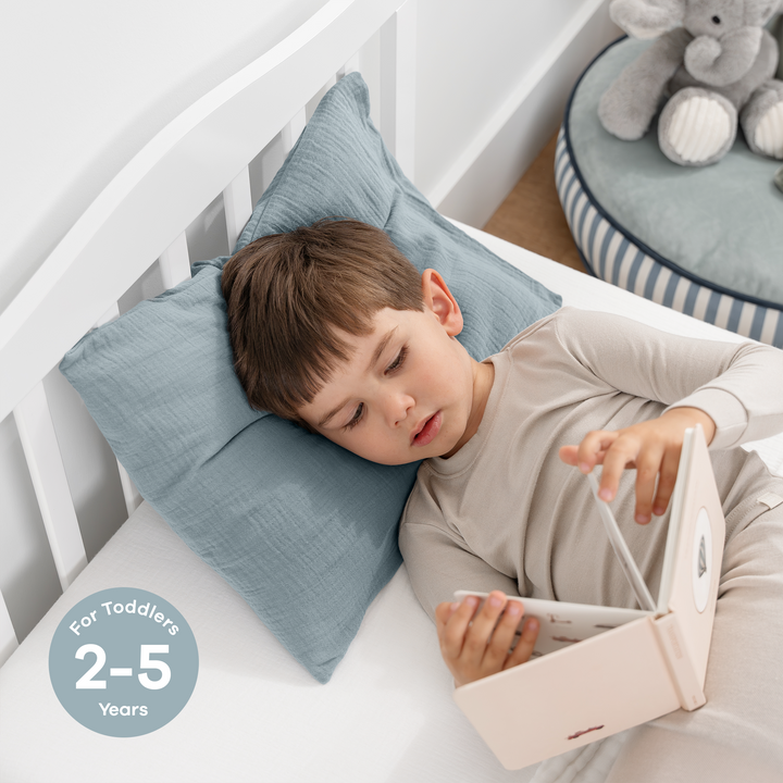 COMFY CUBS ALMOHADA Y FUNDA MUSLIN COTTON CASE PACIFIC BLUE 2PK