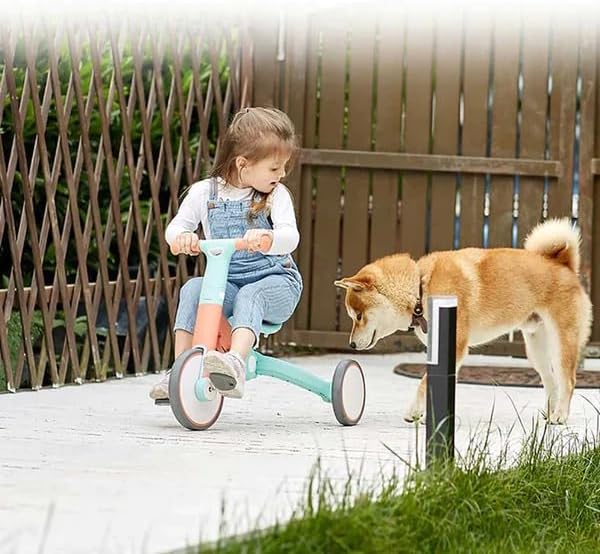 HAPE SEGWAY MULTIUSOS ROSADO
