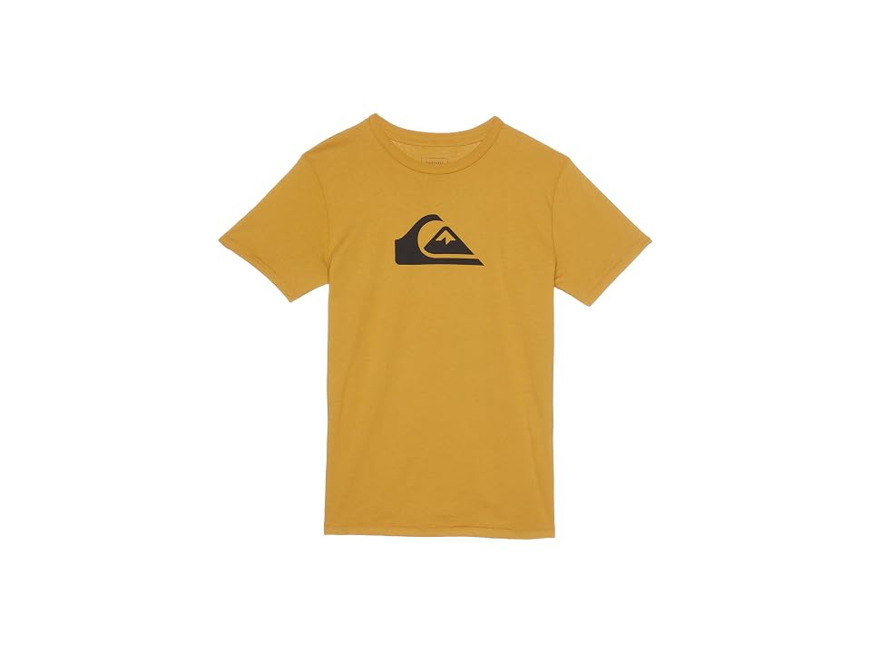 QUIKSILVER NIÑO TSHIRT COMP LOGO