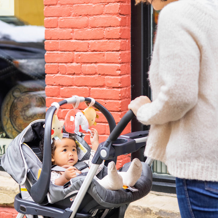 PEARHEAD JUGUETE PARA COCHE RAINBOW 3PK