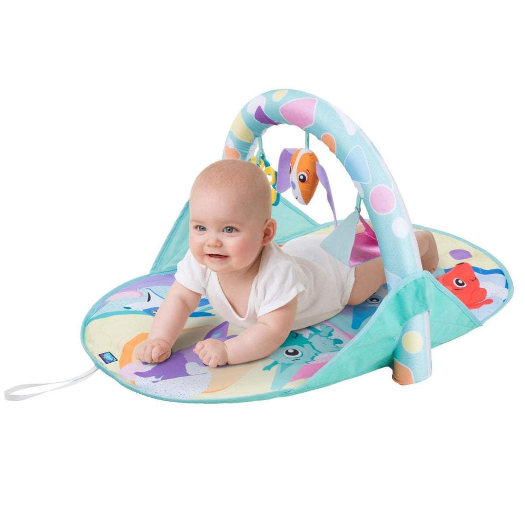 PLAYGRO GIMNASIO DE ACTIVIDADES PUPPY AND ME