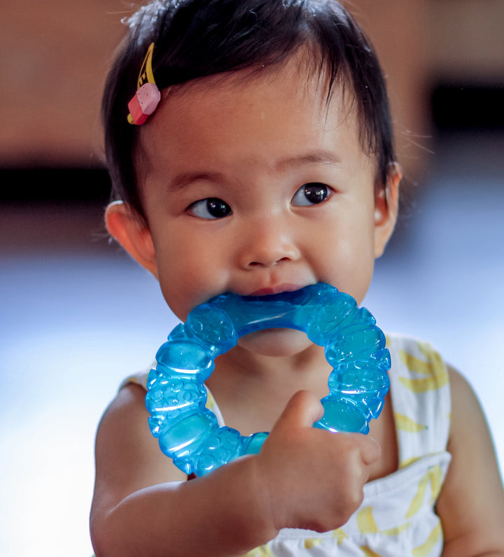 PLAYGRO MORDEDOR CIRCULAR DE AGUA AZUL