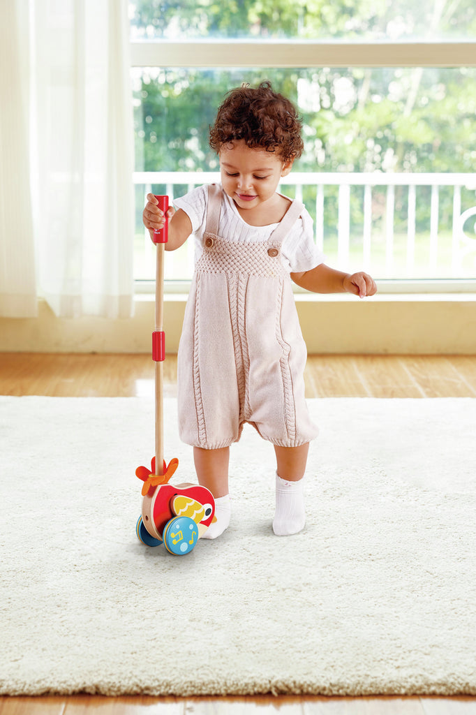 HAPE LILLY MUSICAL PUSH ALONG