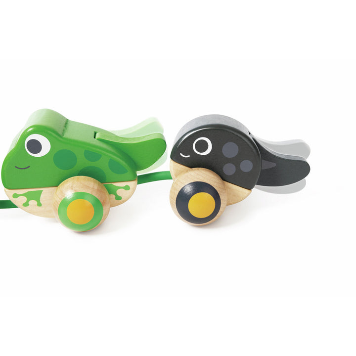HAPE PULL-ALONG FROG FAMILY