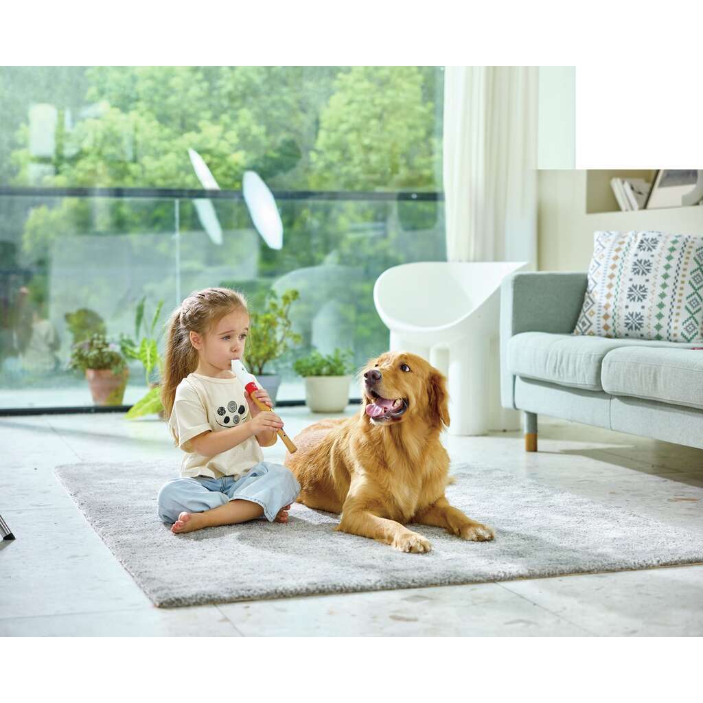 HAPE FLAUTA DULCE PARA PRINCIPIANTES