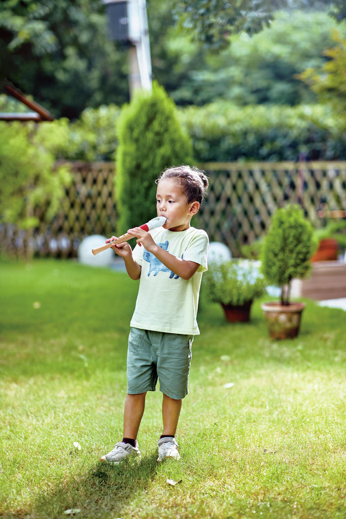 HAPE FLAUTA DULCE PARA PRINCIPIANTES