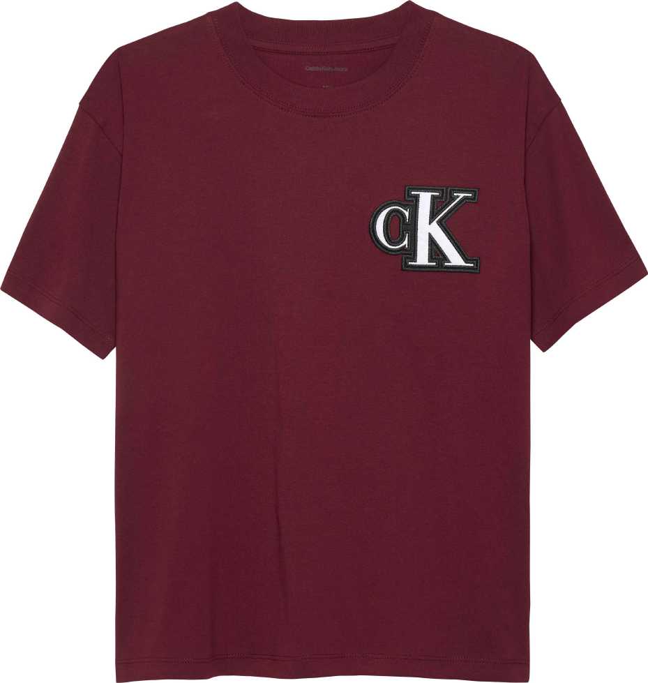 Calvin Klein Tshirt Festive Graphic M/C Raspberry Chocolate para Niño