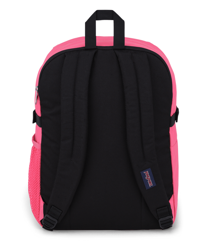 Jansport Main Campus Posh Pink - Back