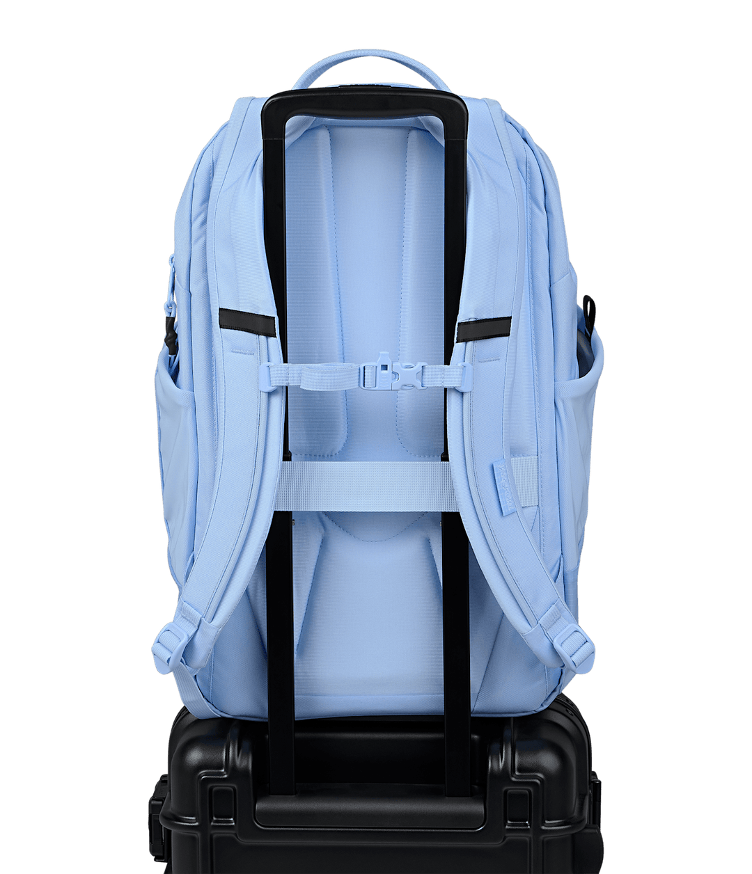 Jansport All Around 28l Hidrangea - Back
