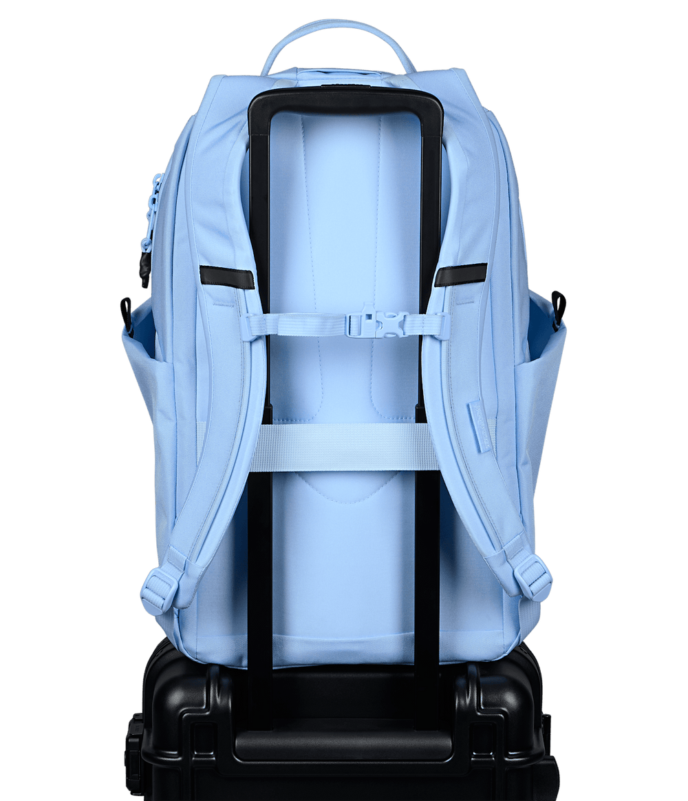 Jansport All Around 26l Hydrangea - Back