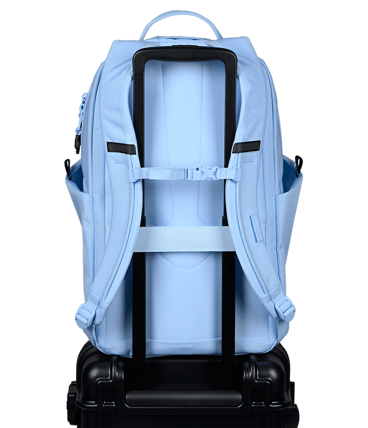 Jansport All Around 26l Hydrangea - Back
