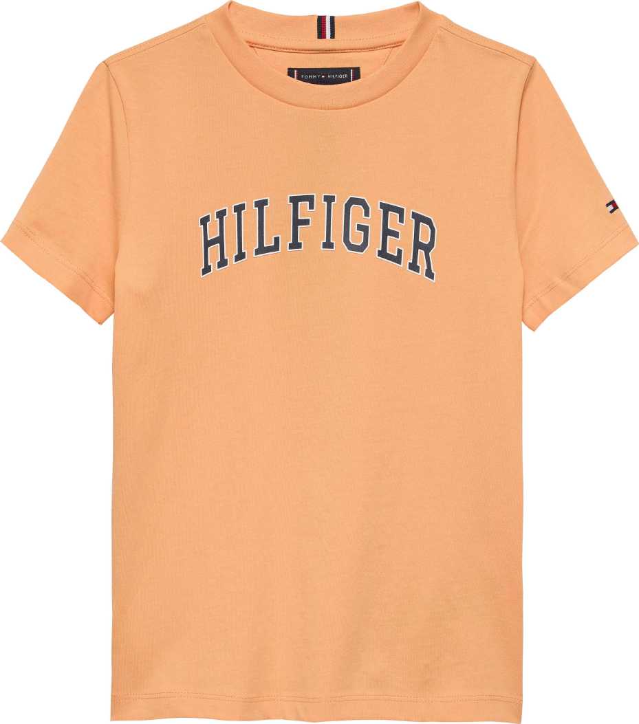 Tommy Hilfiger Tshirt Hilfiger Varsity Faded Sun Kiss para Niño