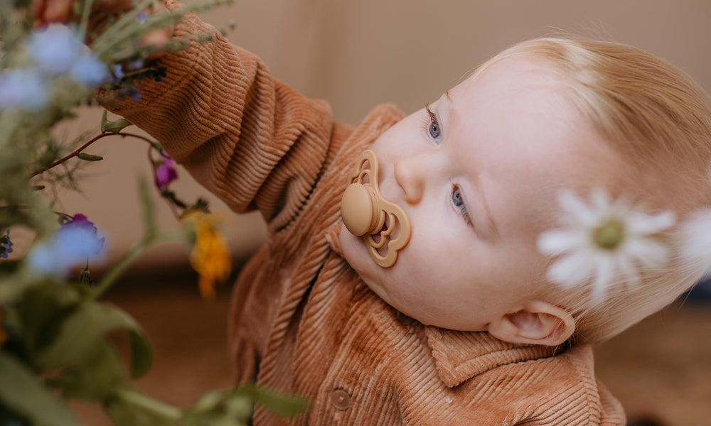 BIBS CHUPO LATEX SIZE2 IVORY/BLUSH 2PK