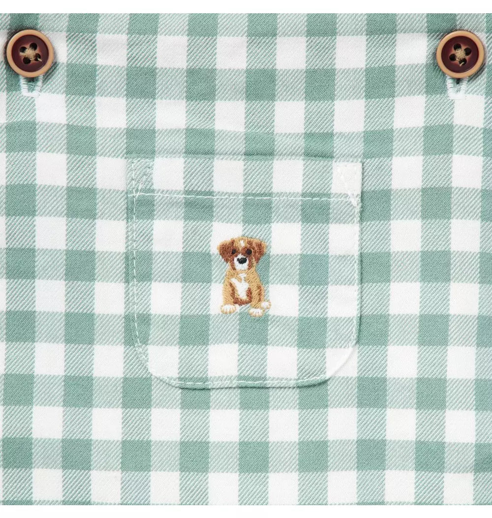 JANIE & JACK BEBE NIÑO OVEROL GINGHAM DOG ICON GREEN