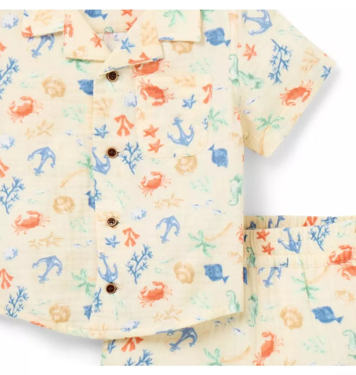 JANIE & JACK BEBE NIÑO CONJ DE SHORT SEA FRIENDS NUTMEG CREAM