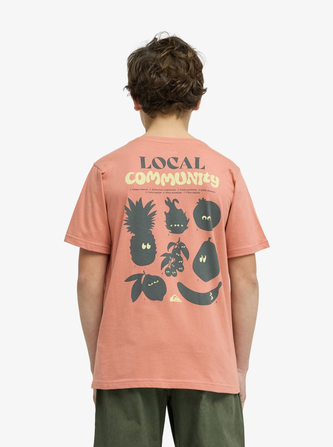 QUIKSILVER NIÑO TSHIRT FRUITS TIDE M/C DESERT SAND