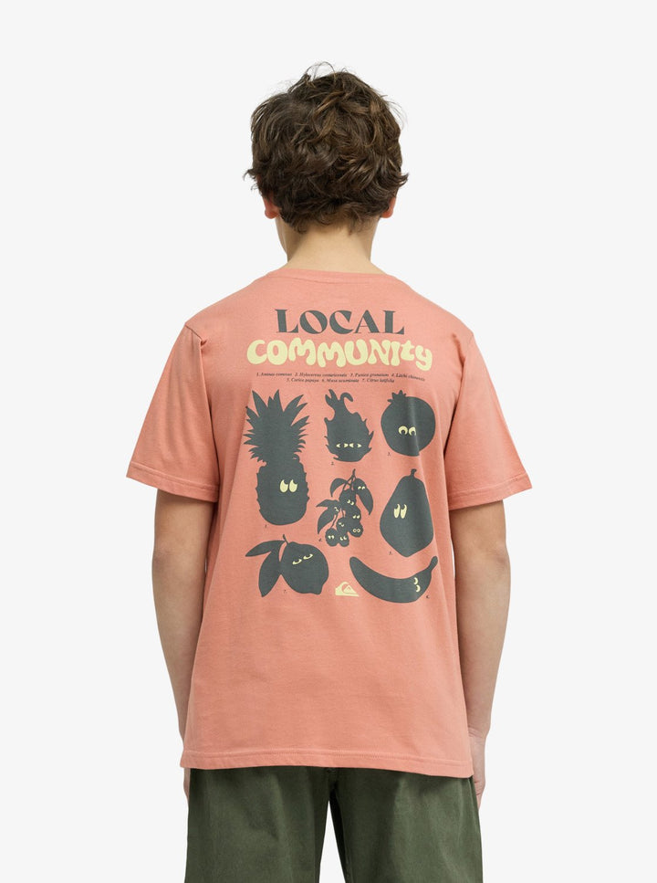 QUIKSILVER NIÑO TSHIRT FRUITS TIDE M/C DESERT SAND