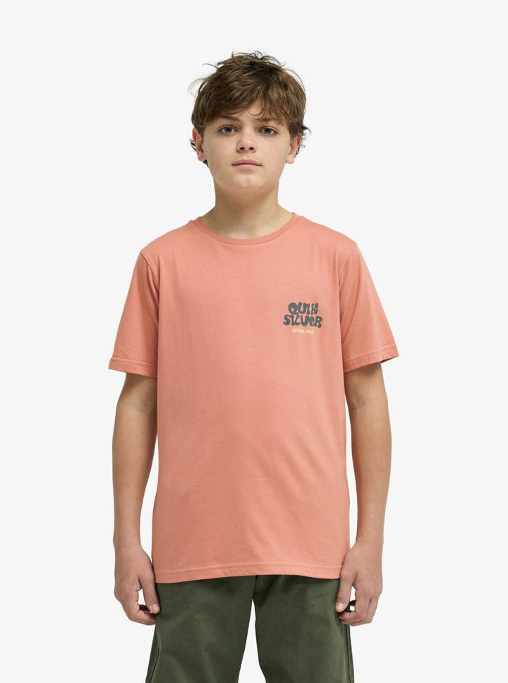 QUIKSILVER NIÑO TSHIRT FRUITS TIDE M/C DESERT SAND