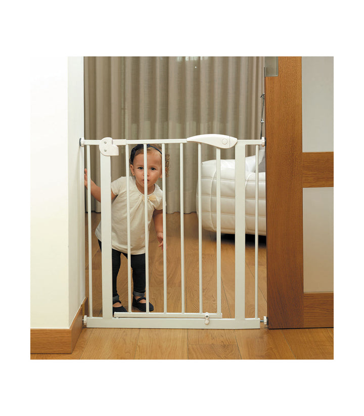 Olmitos Puerta Seguridad + Extension